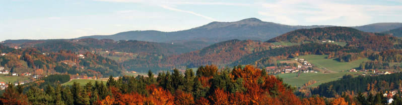 Bavarian forest